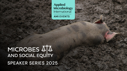 Event Contents Images_08.jpg